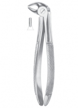 Fig. 13S lower premolars for children